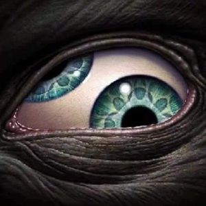 Meet your Posher, Frances